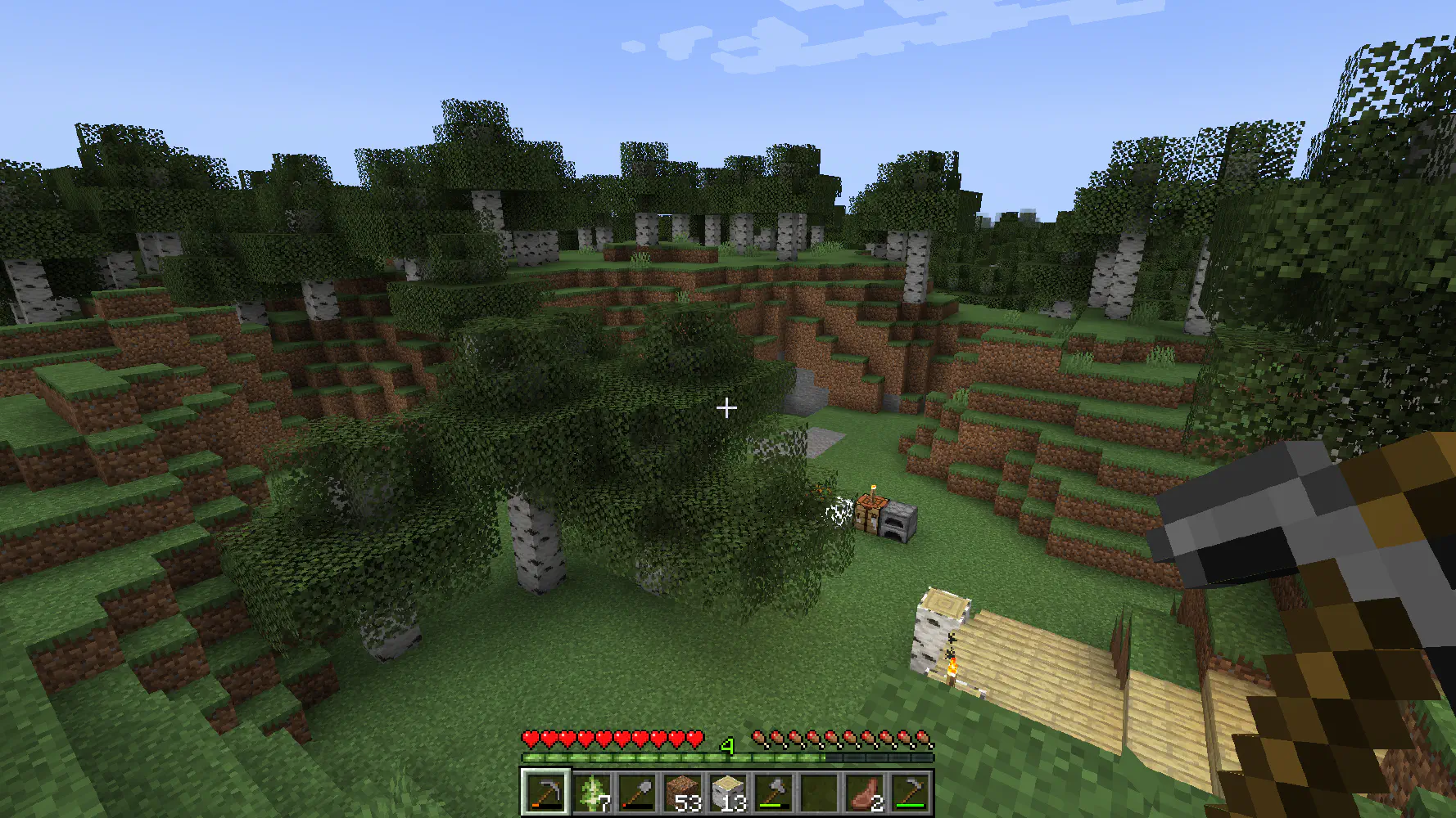Minecraft In-Game screenshot
